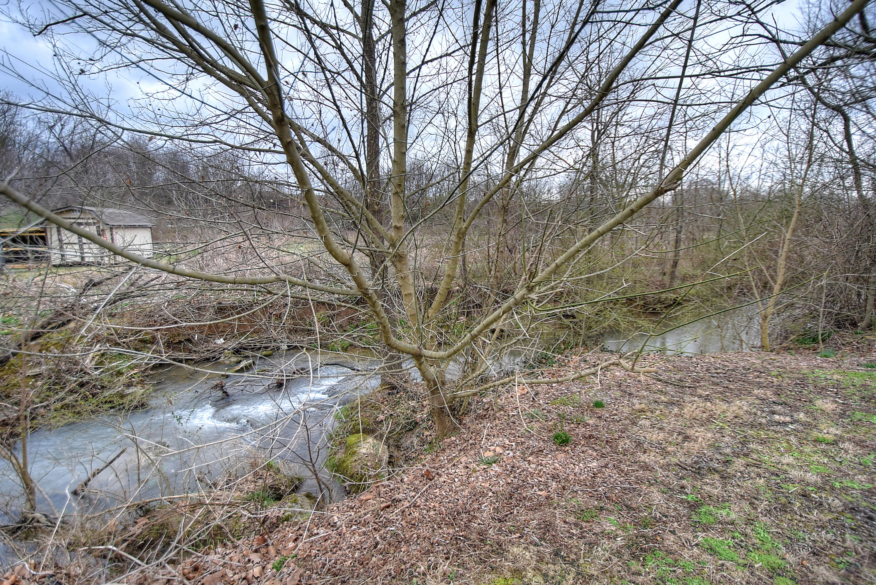 568 Gray Station Road, Unit 2 Johnson City, TN 37615 - Photo 9 of 17 DSC_0649_50_51_52_53_54