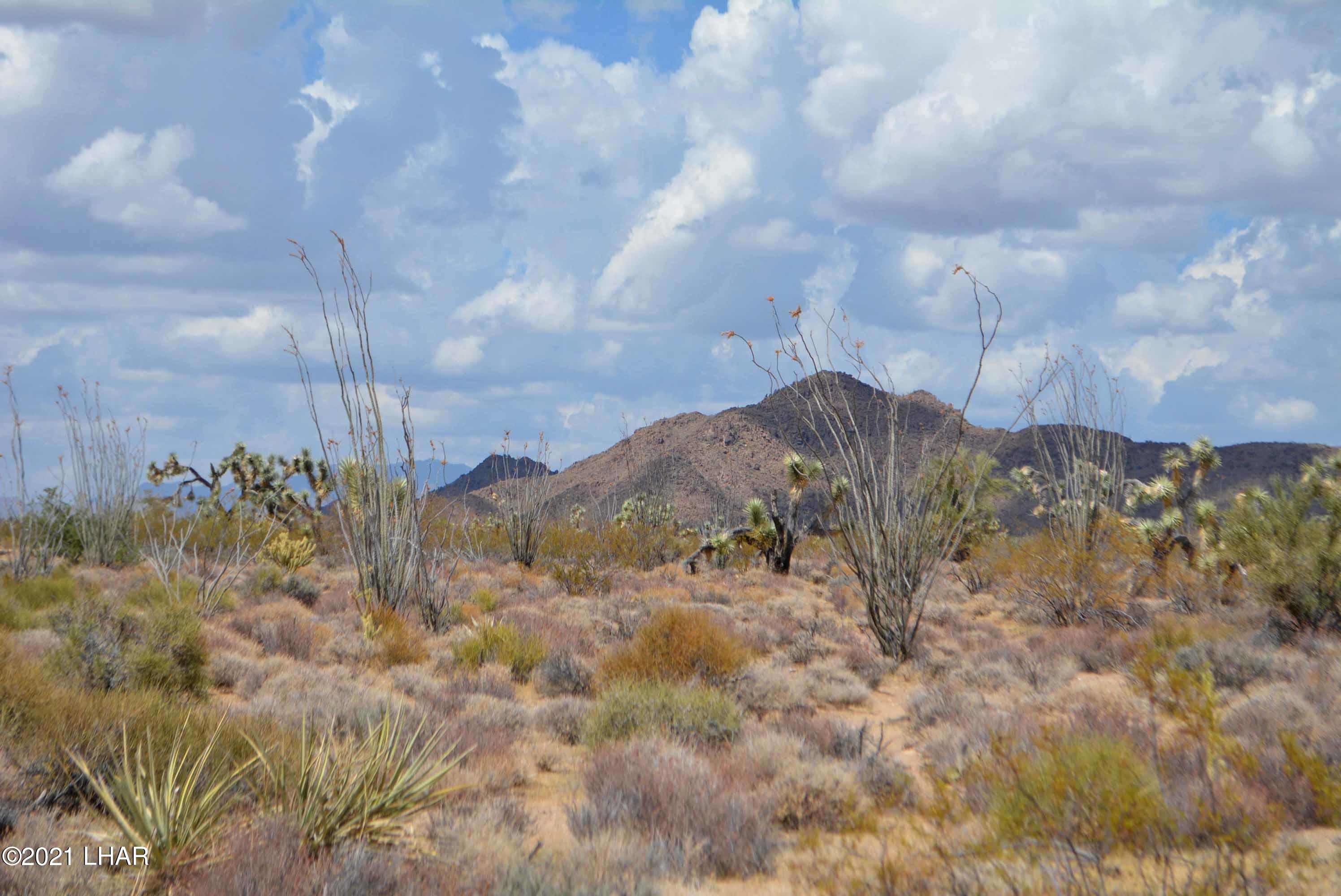 Lot 2869 South John Wayne Road Yucca, AZ 86438 - Photo 1 of 28 DSC_0459