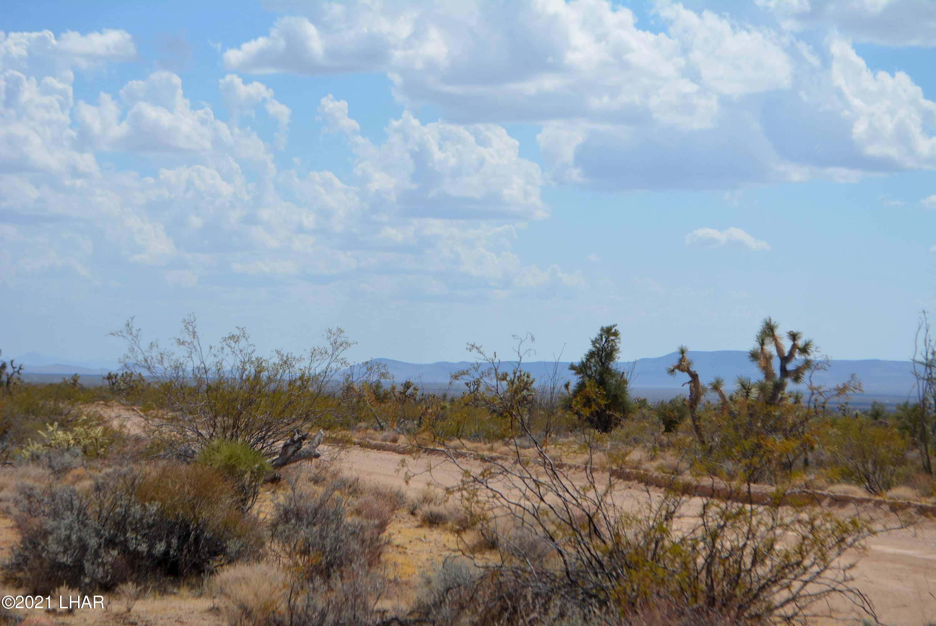 Lot 2869 South John Wayne Road Yucca, AZ 86438 - Photo 11 of 28 DSC_0469