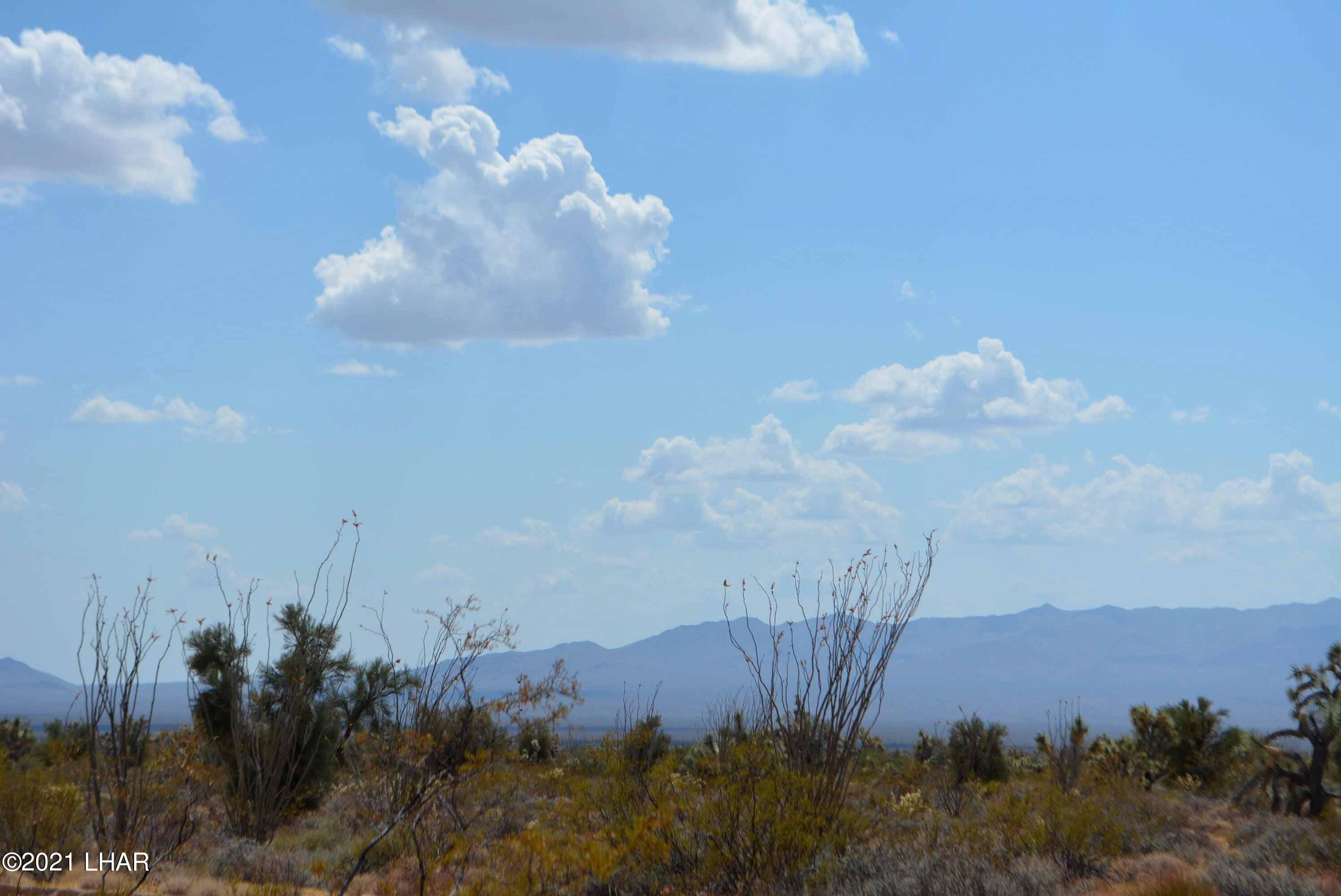 Lot 2869 South John Wayne Road Yucca, AZ 86438 - Photo 12 of 28 DSC_0470