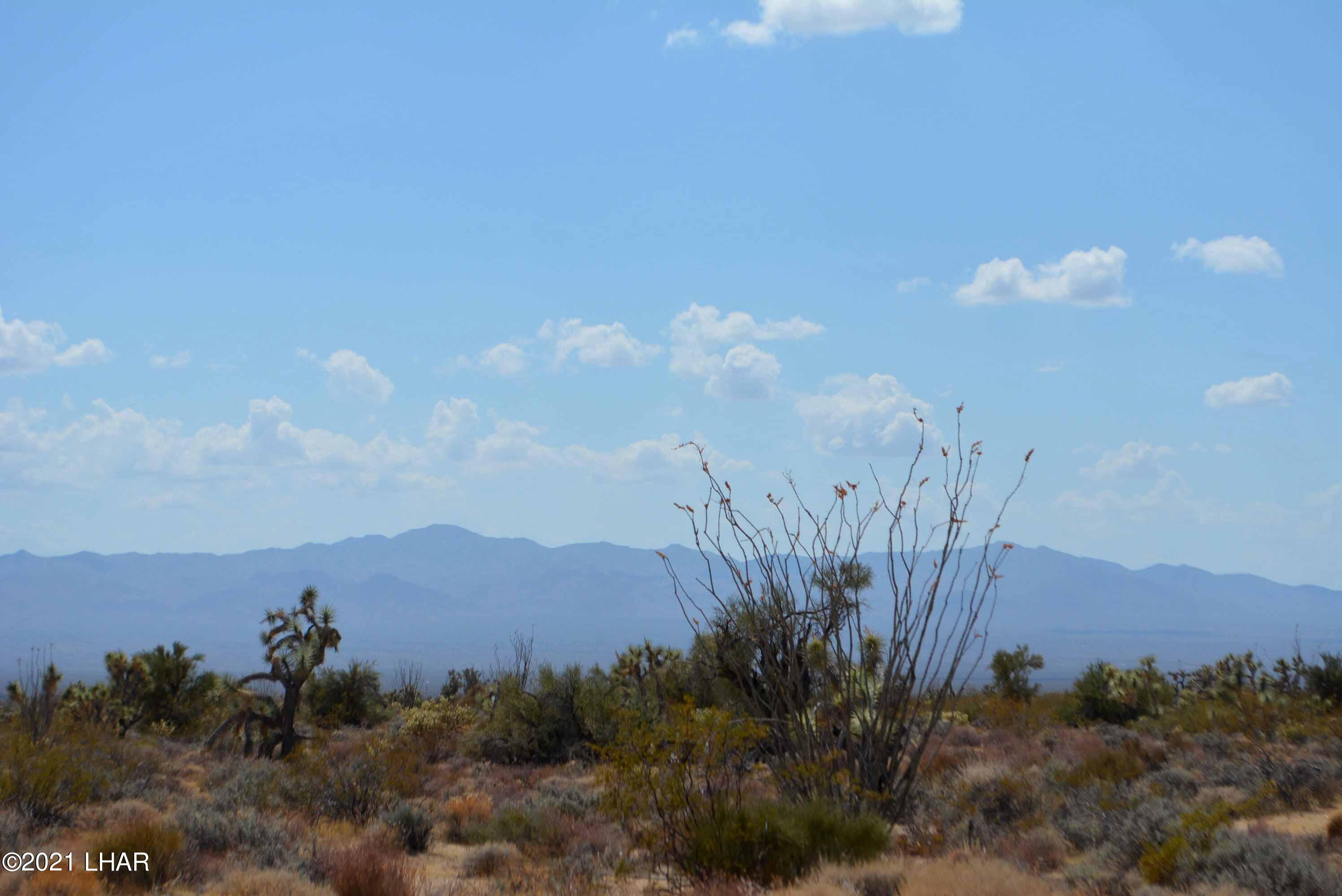 Lot 2869 South John Wayne Road Yucca, AZ 86438 - Photo 13 of 28 DSC_0471