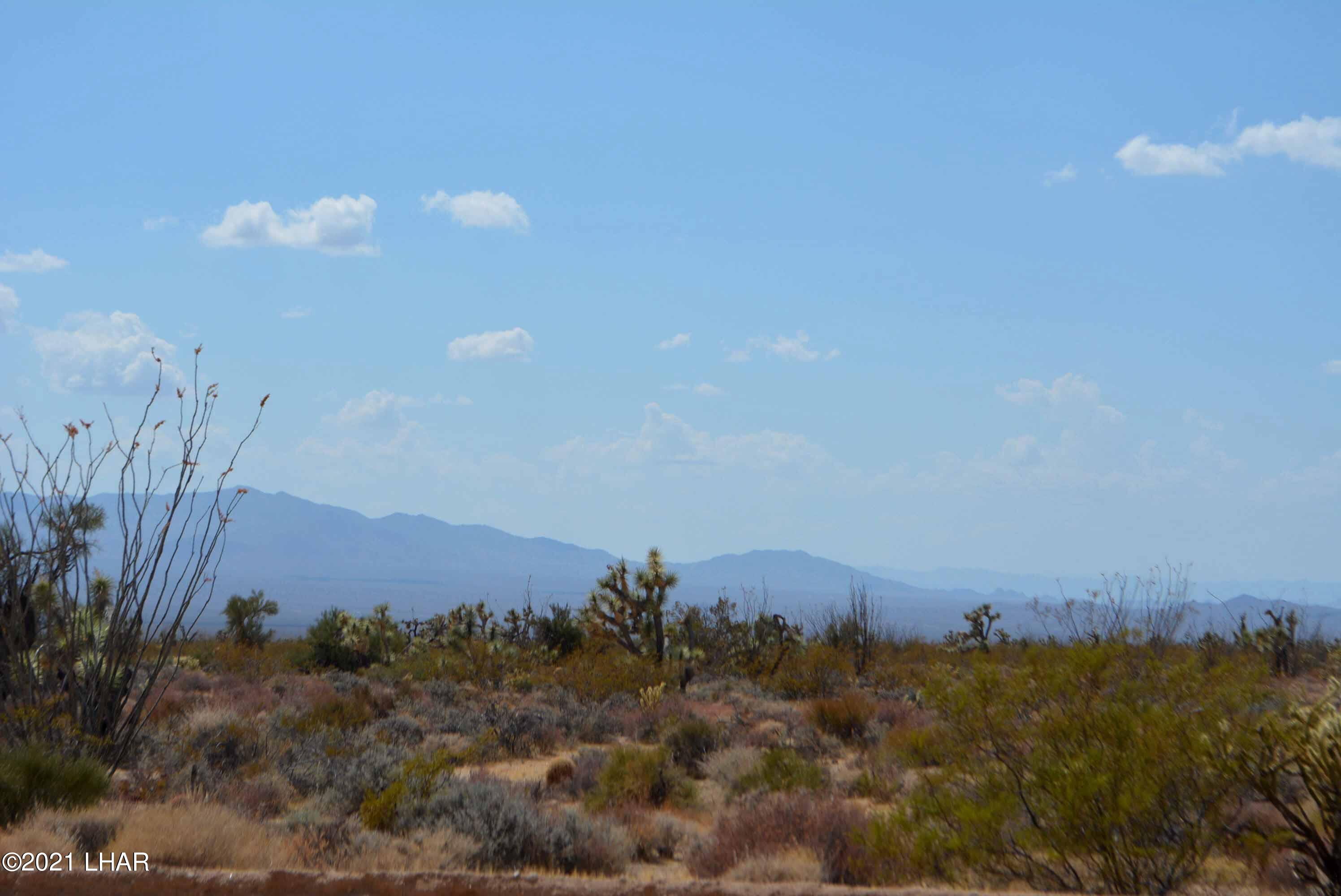Lot 2869 South John Wayne Road Yucca, AZ 86438 - Photo 14 of 28 DSC_0472