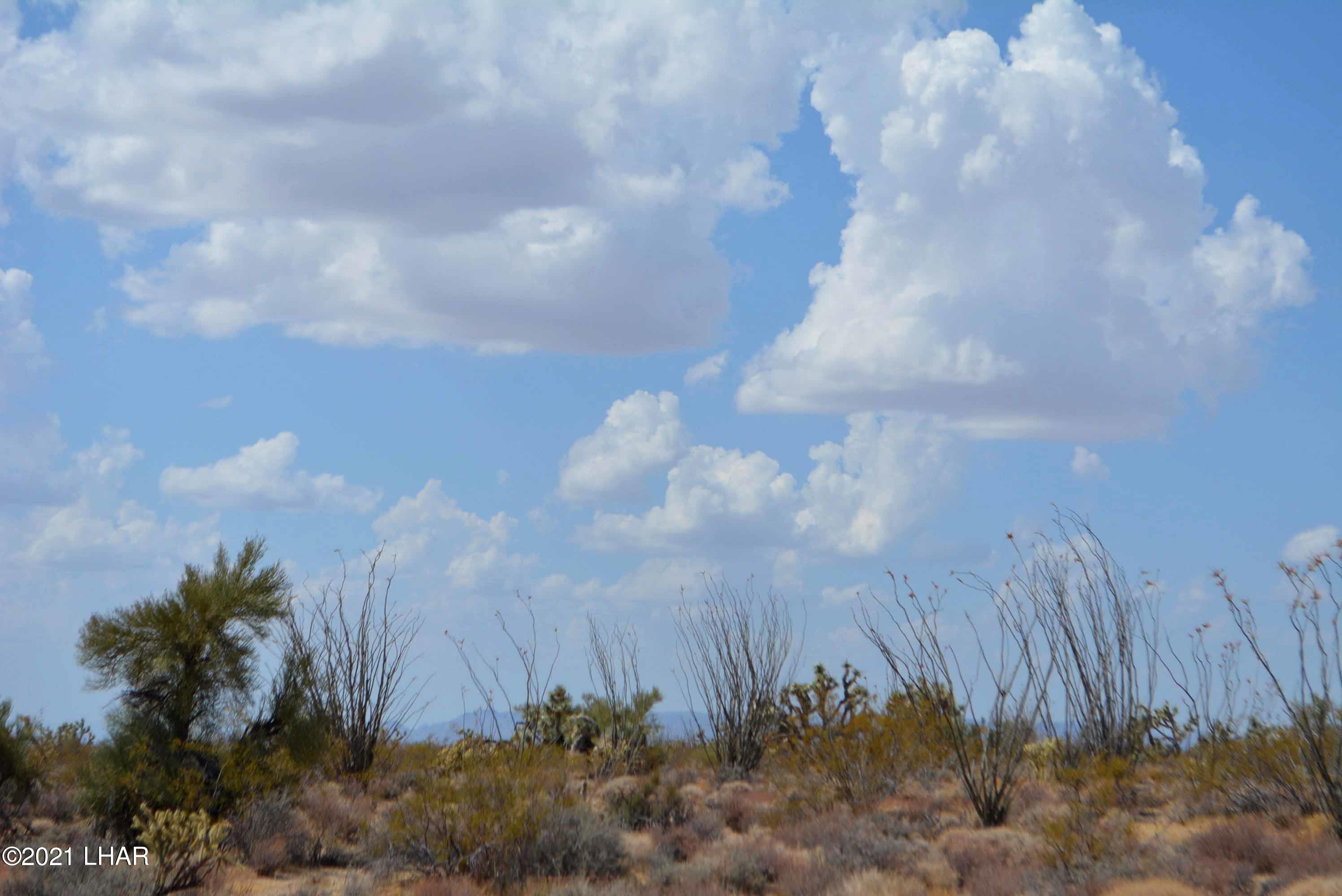 Lot 2869 South John Wayne Road Yucca, AZ 86438 - Photo 15 of 28 DSC_0473