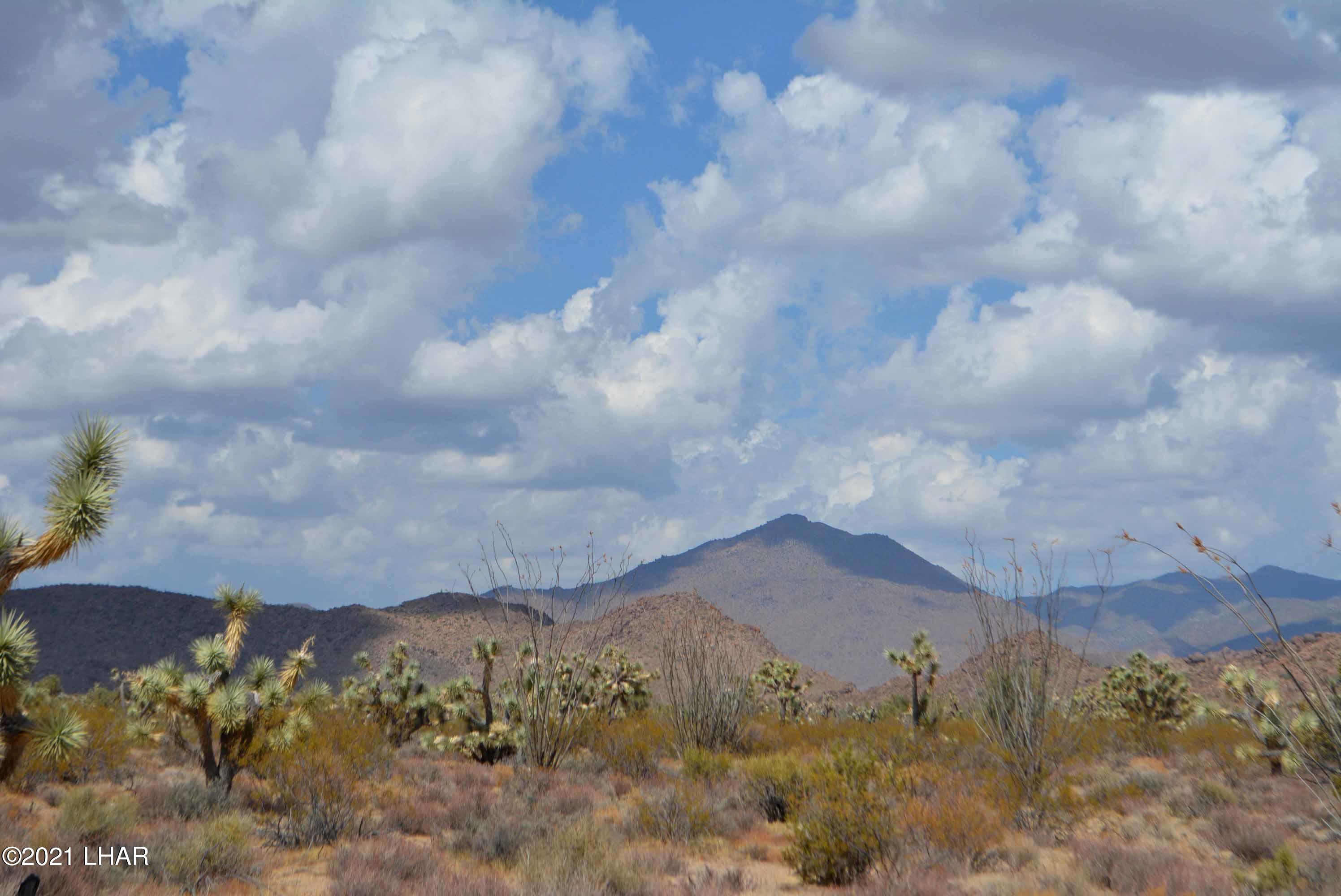 Lot 2869 South John Wayne Road Yucca, AZ 86438 - Photo 16 of 28 DSC_0474