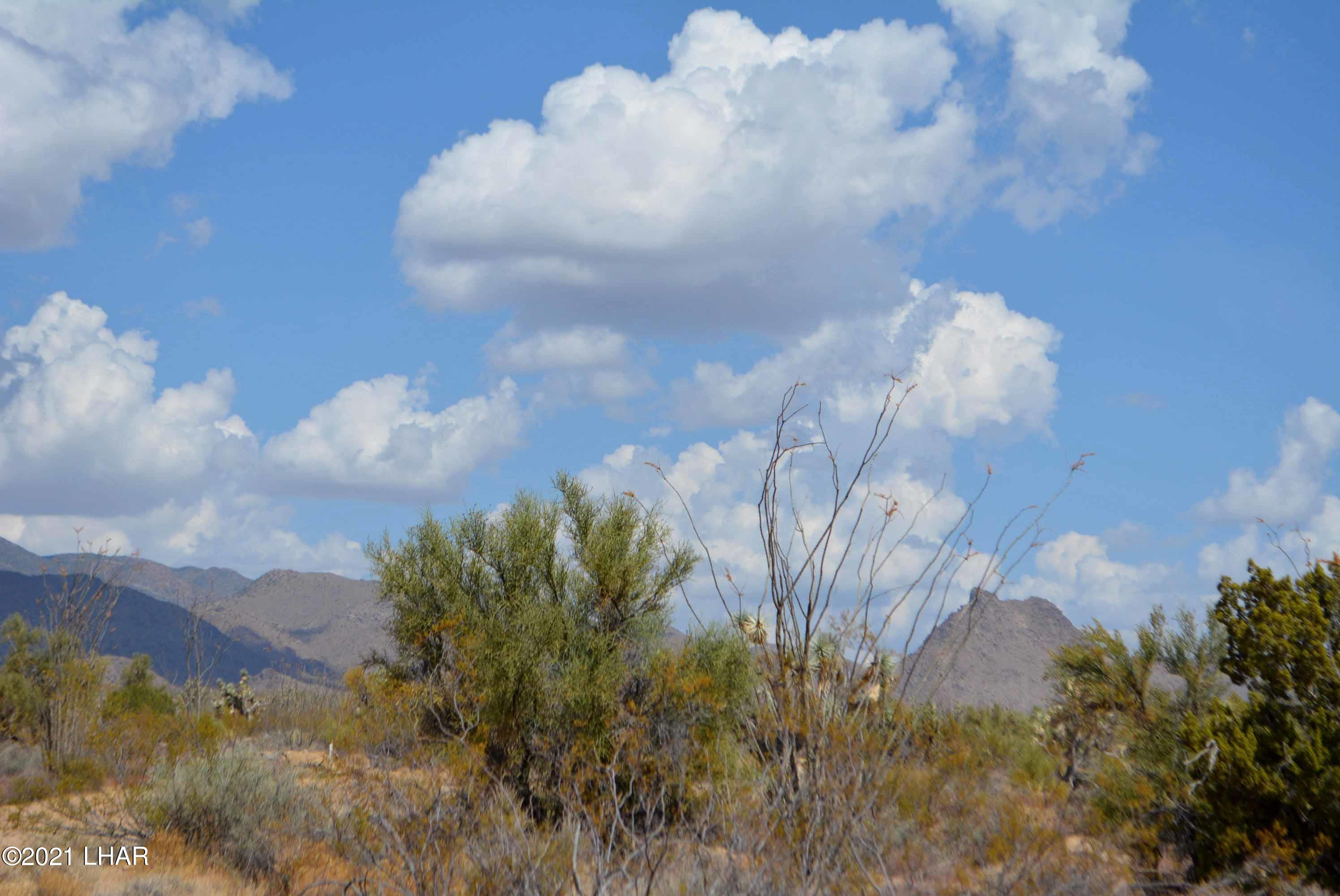 Lot 2869 South John Wayne Road Yucca, AZ 86438 - Photo 19 of 28 DSC_0477
