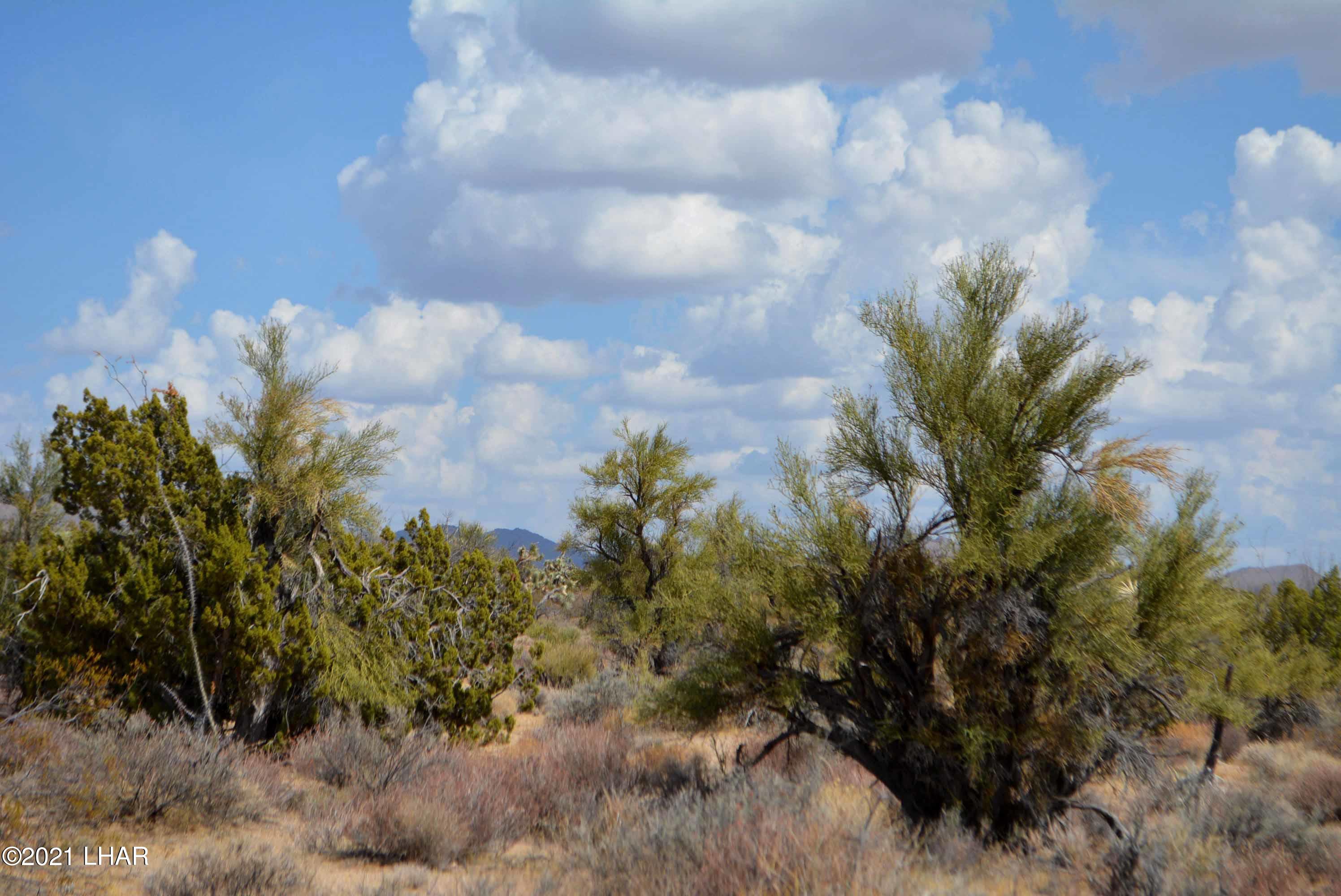 Lot 2869 South John Wayne Road Yucca, AZ 86438 - Photo 20 of 28 DSC_0478