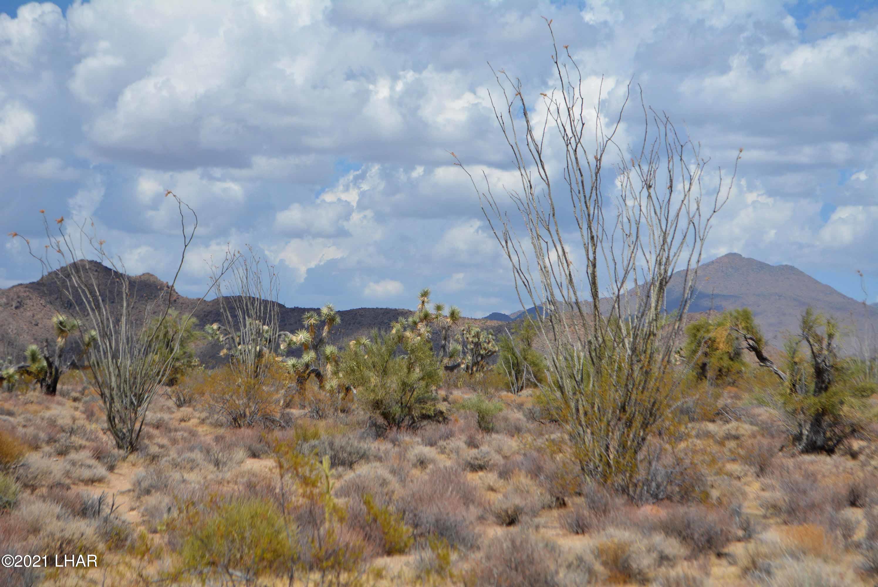 Lot 2869 South John Wayne Road Yucca, AZ 86438 - Photo 2 of 28 DSC_0460