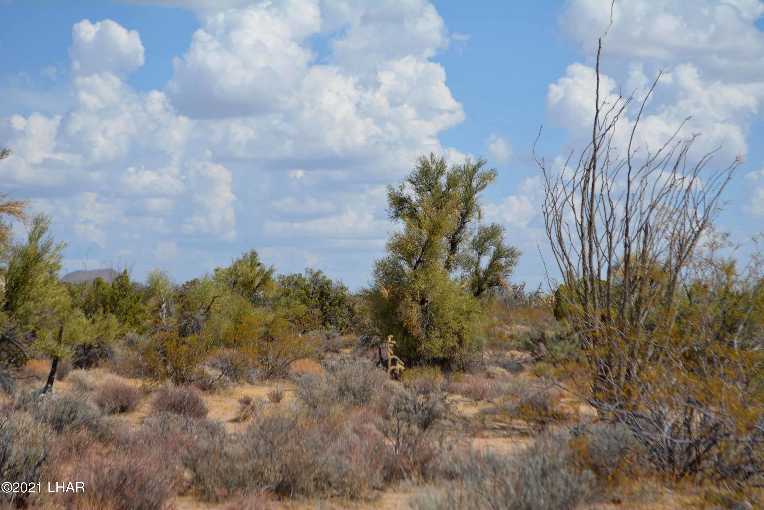 Lot 2869 South John Wayne Road Yucca, AZ 86438 - Photo 21 of 28 DSC_0479
