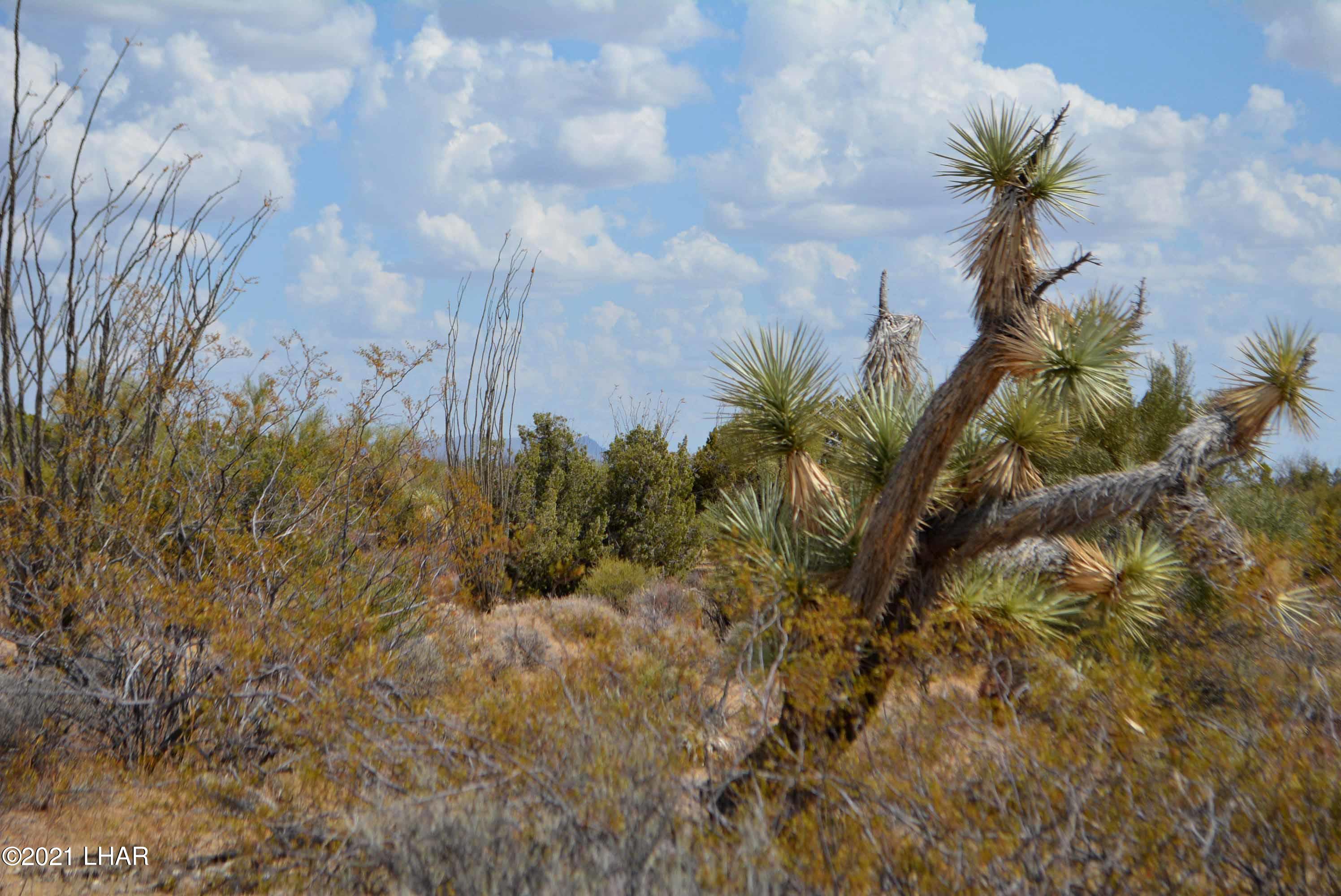 Lot 2869 South John Wayne Road Yucca, AZ 86438 - Photo 22 of 28 DSC_0480
