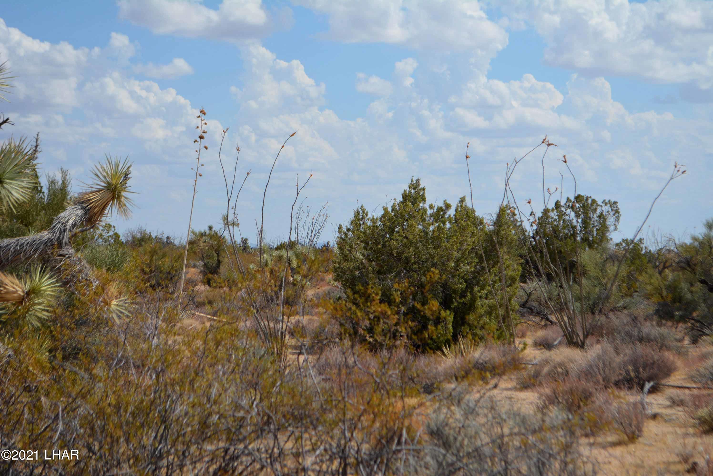 Lot 2869 South John Wayne Road Yucca, AZ 86438 - Photo 23 of 28 DSC_0481