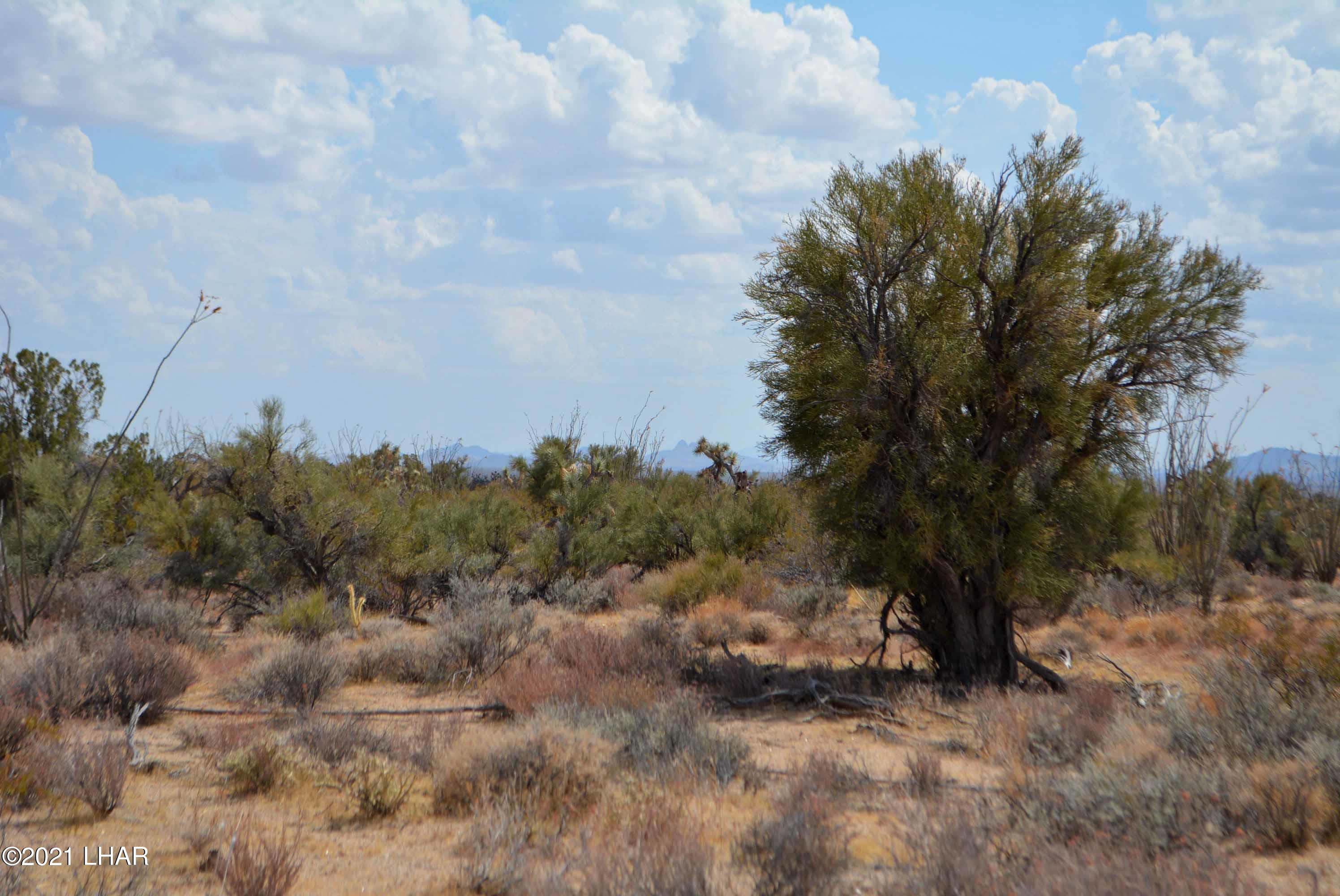 Lot 2869 South John Wayne Road Yucca, AZ 86438 - Photo 24 of 28 DSC_0482