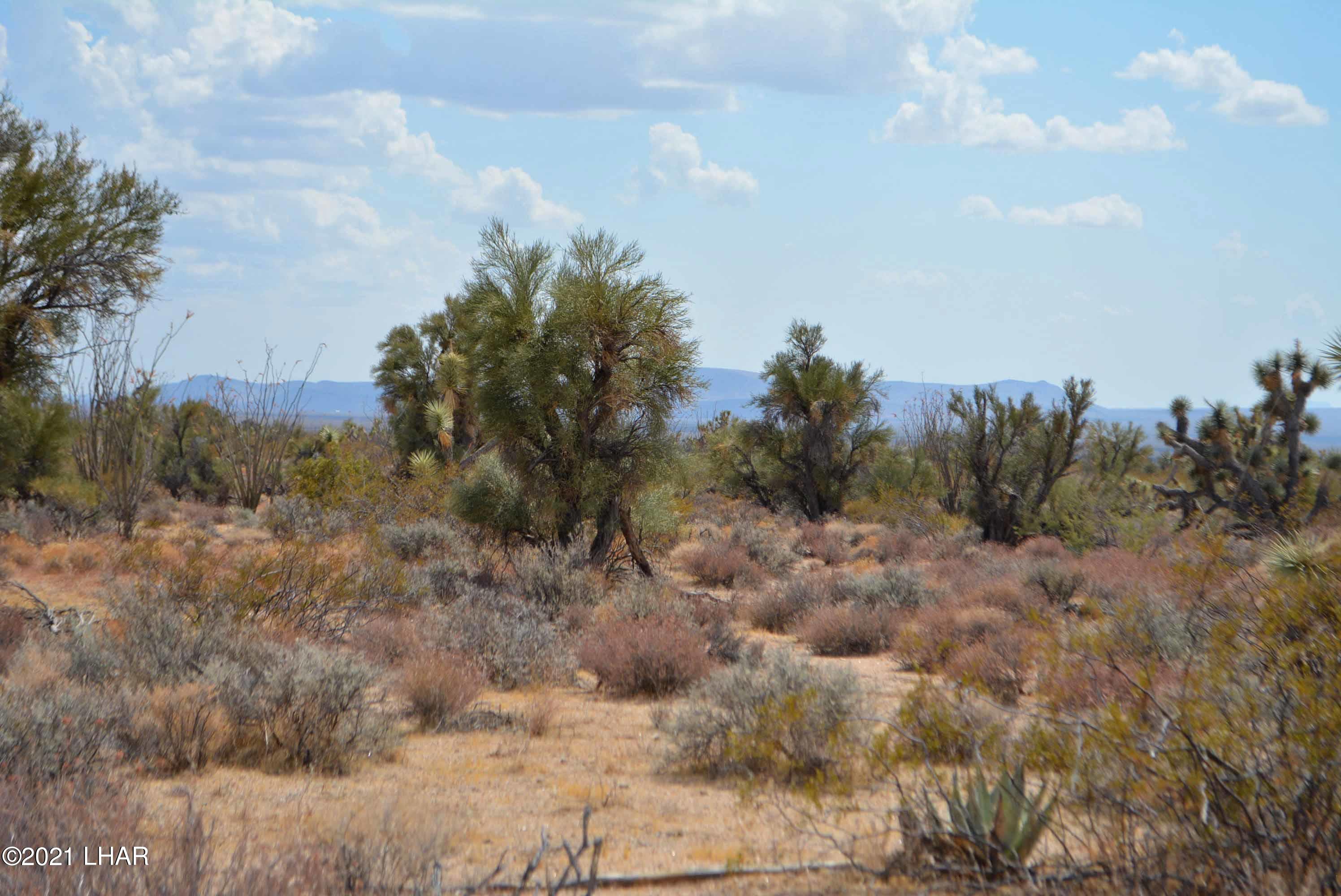 Lot 2869 South John Wayne Road Yucca, AZ 86438 - Photo 25 of 28 DSC_0483