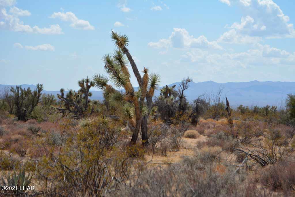 Lot 2869 South John Wayne Road Yucca, AZ 86438 - Photo 26 of 28 DSC_0484