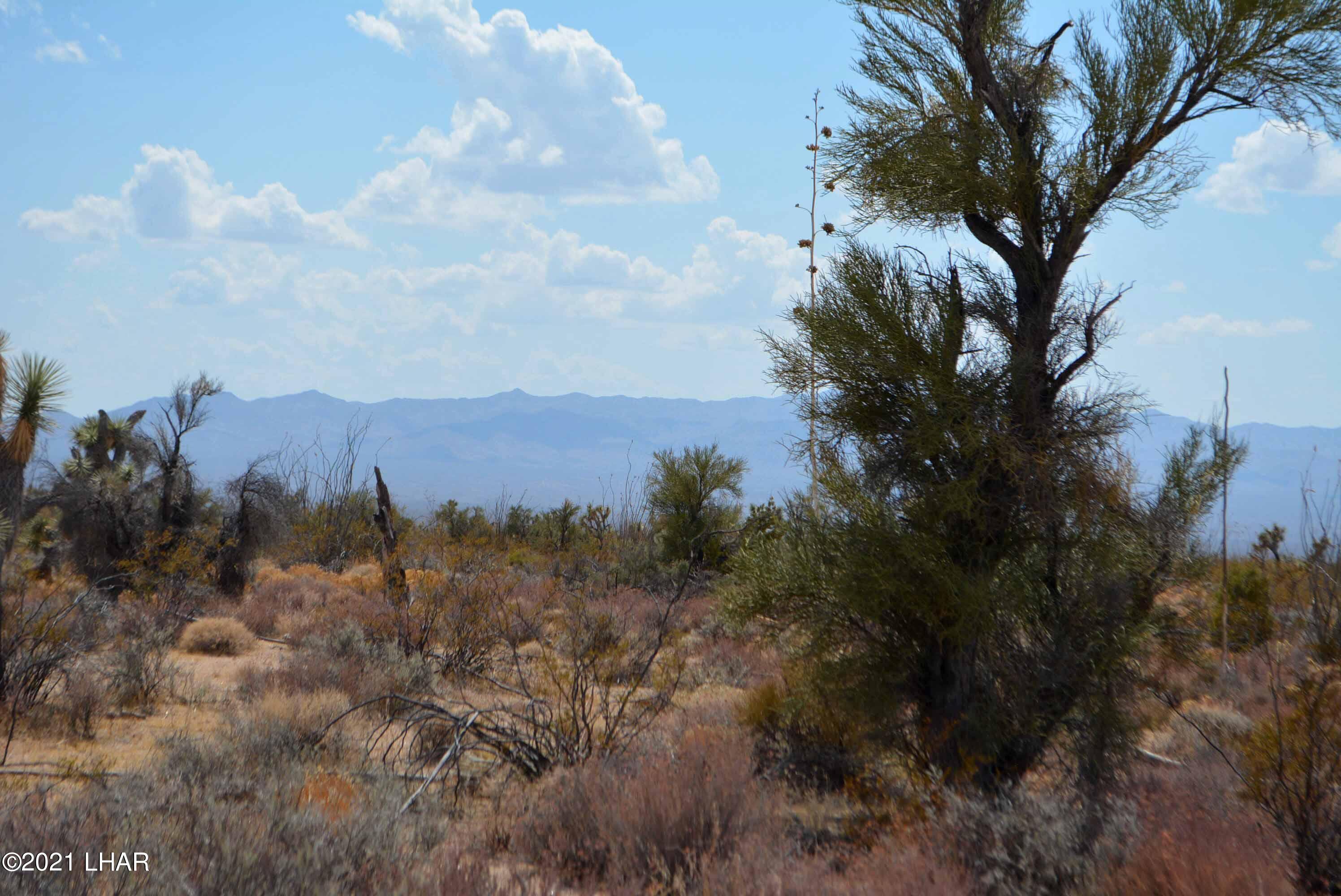 Lot 2869 South John Wayne Road Yucca, AZ 86438 - Photo 27 of 28 DSC_0485