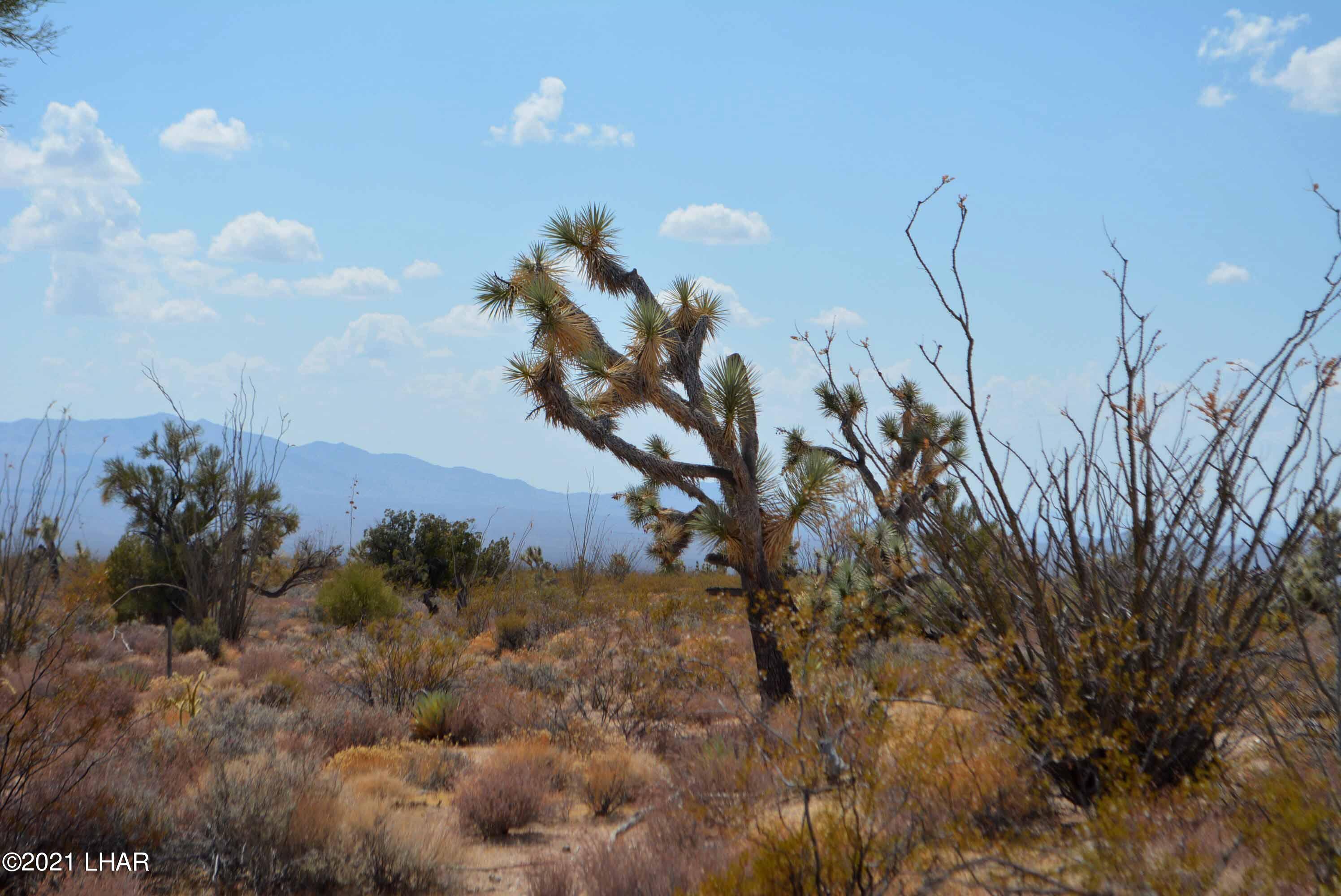 Lot 2869 South John Wayne Road Yucca, AZ 86438 - Photo 28 of 28 DSC_0486