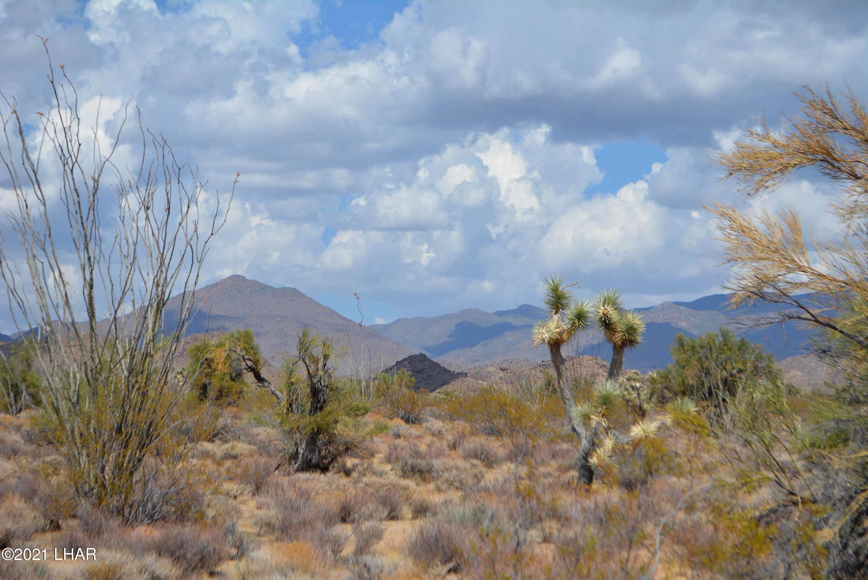 Lot 2869 South John Wayne Road Yucca, AZ 86438 - Photo 3 of 28 DSC_0461