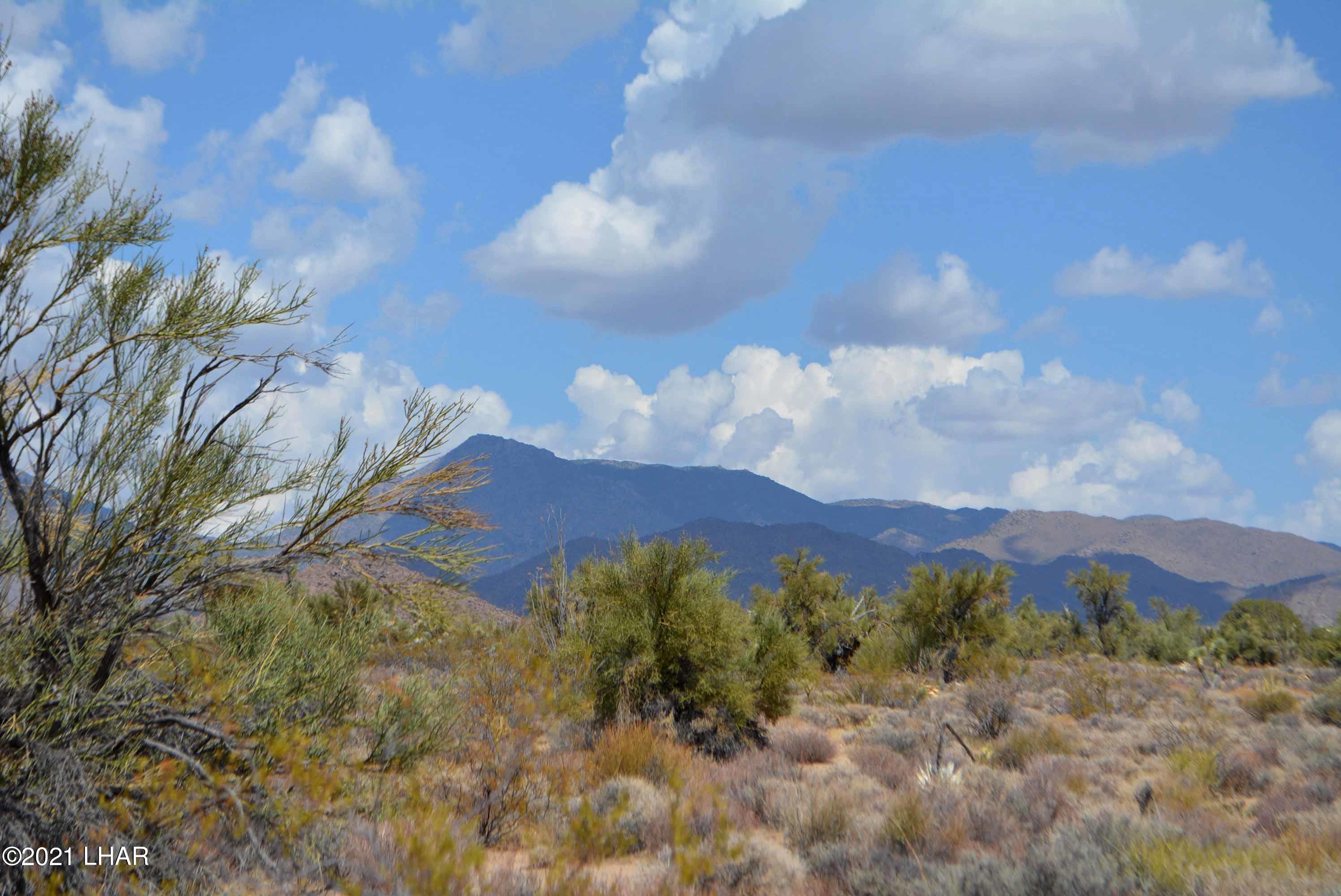 Lot 2869 South John Wayne Road Yucca, AZ 86438 - Photo 5 of 28 DSC_0463