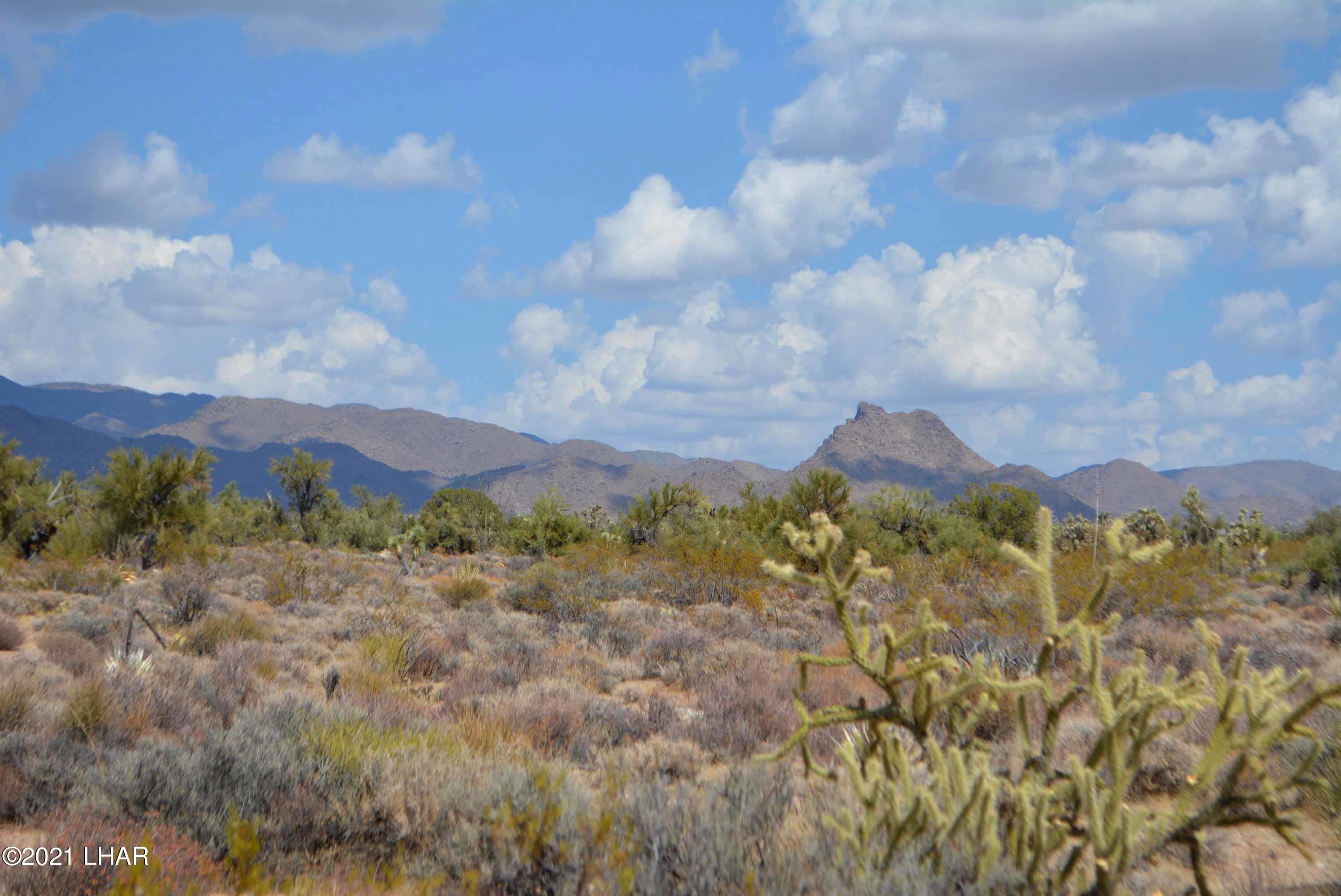 Lot 2869 South John Wayne Road Yucca, AZ 86438 - Photo 6 of 28 DSC_0464