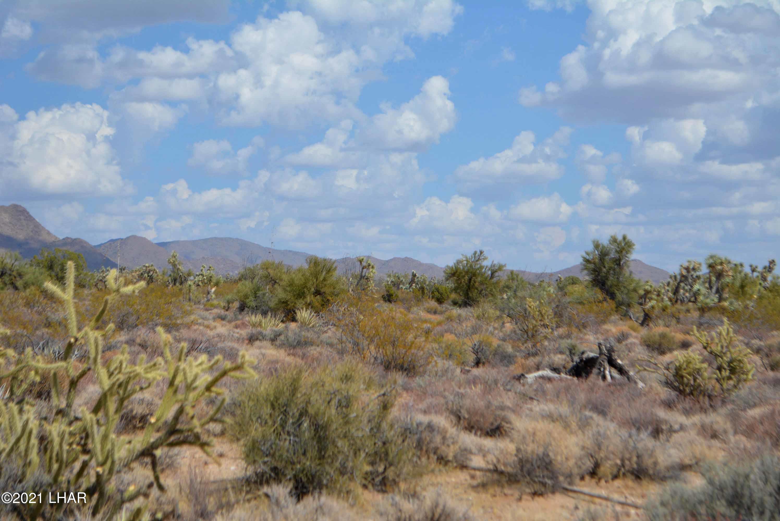 Lot 2869 South John Wayne Road Yucca, AZ 86438 - Photo 7 of 28 DSC_0465