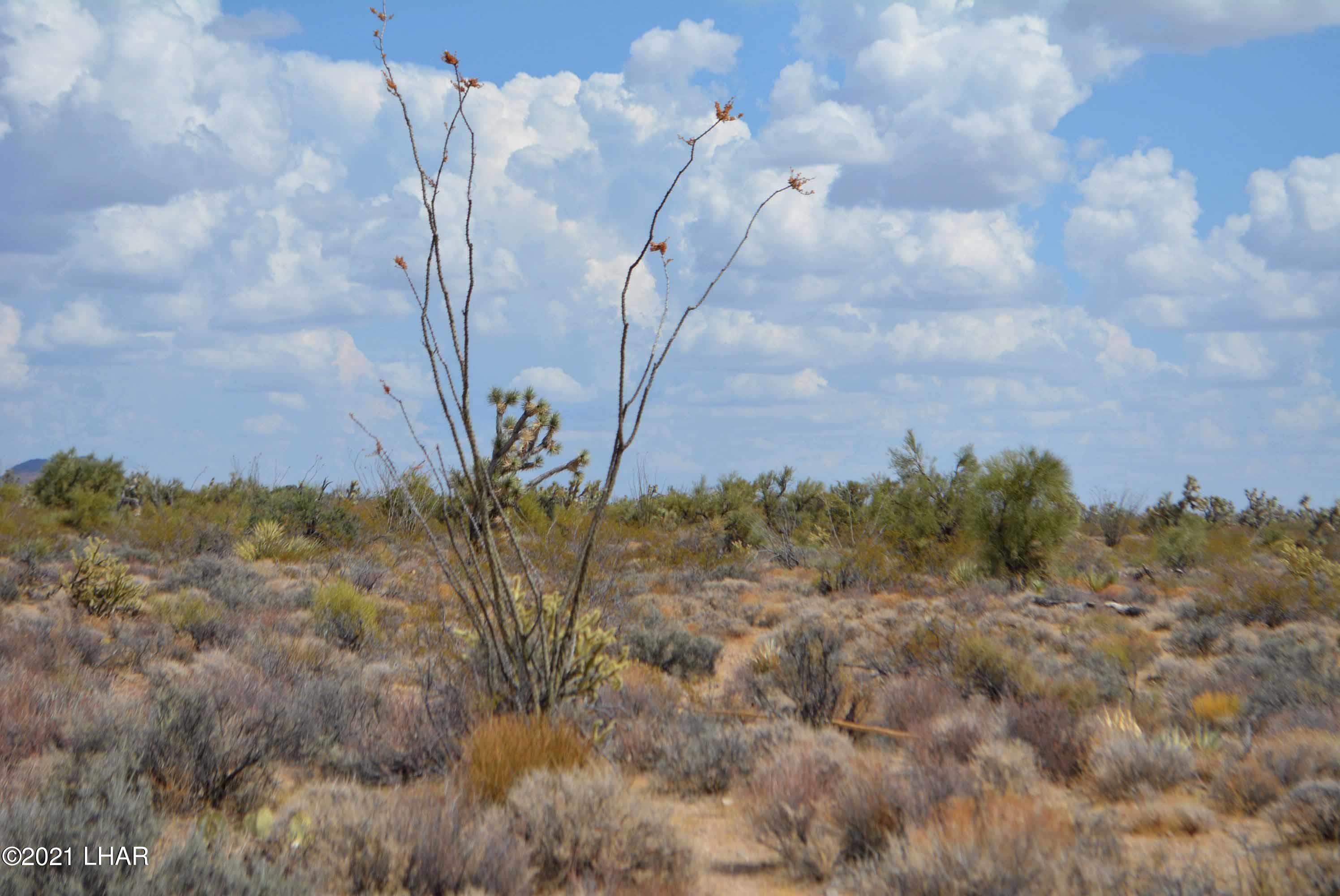 Lot 2869 South John Wayne Road Yucca, AZ 86438 - Photo 8 of 28 DSC_0466