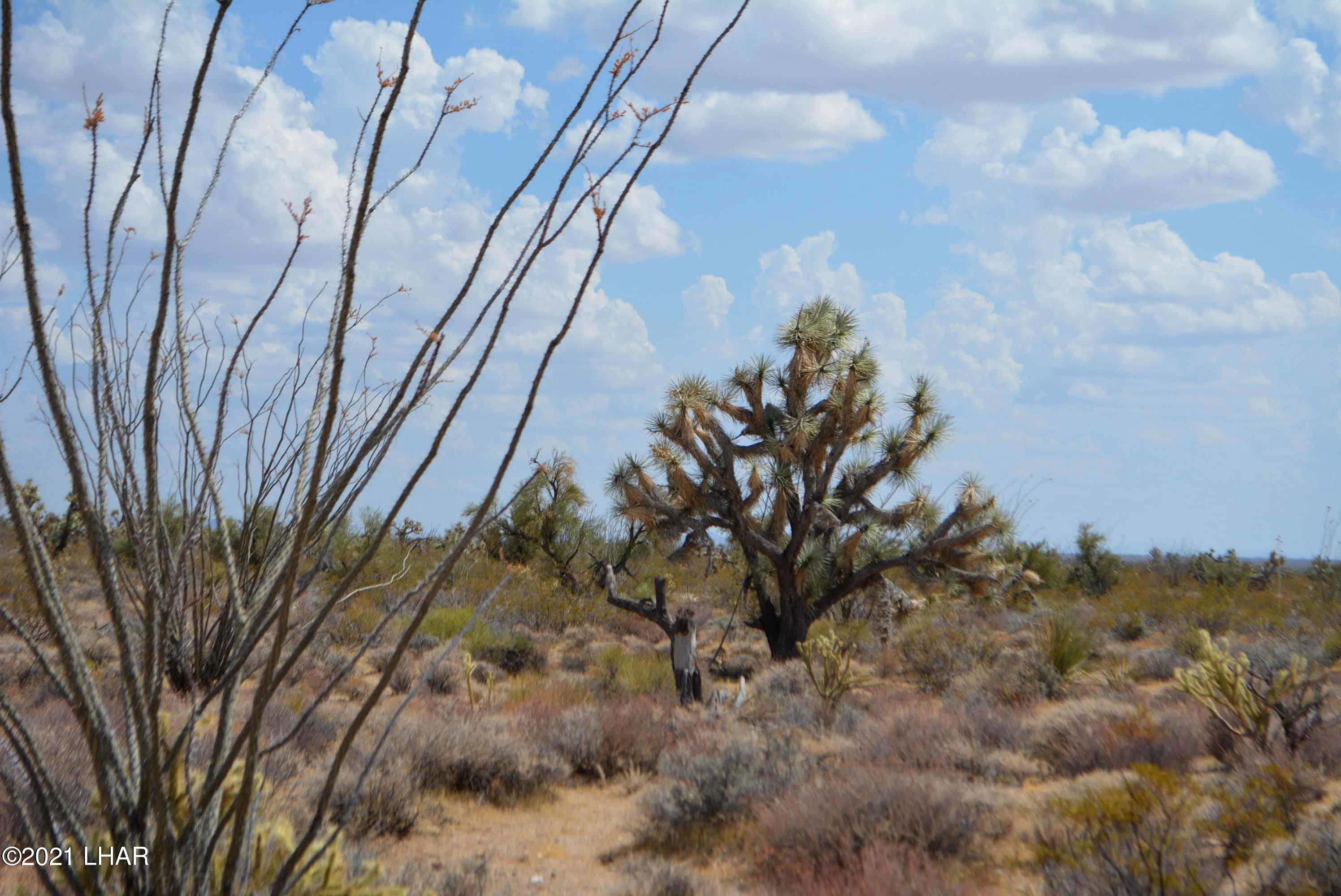 Lot 2869 South John Wayne Road Yucca, AZ 86438 - Photo 9 of 28 DSC_0467
