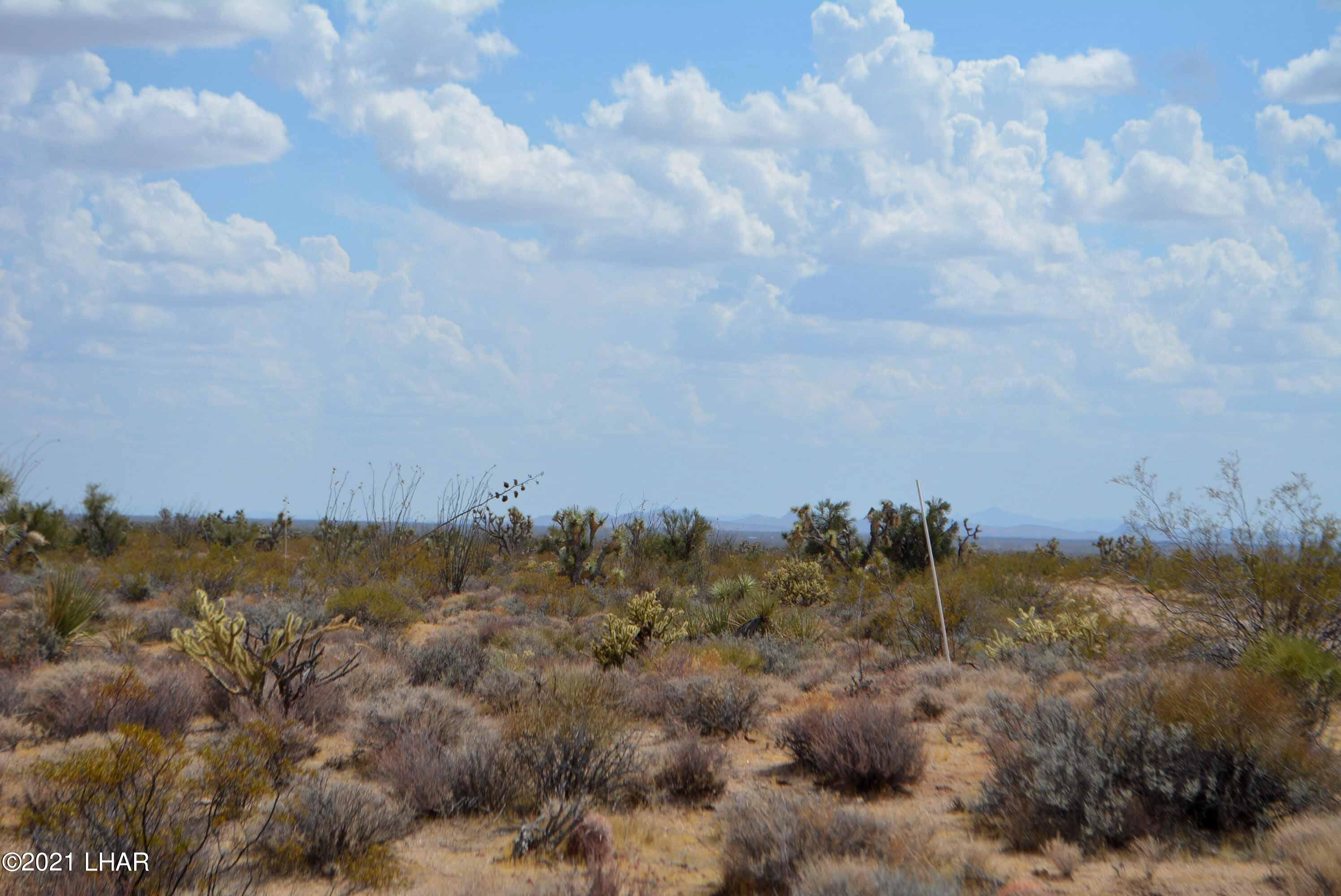 Lot 2869 South John Wayne Road Yucca, AZ 86438 - Photo 10 of 28 DSC_0468