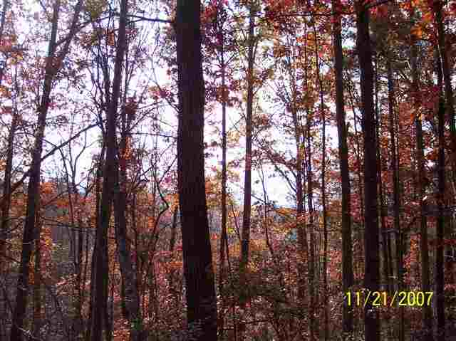 3 Forestry Road Pickens, SC 29671 - Photo 2 of 16