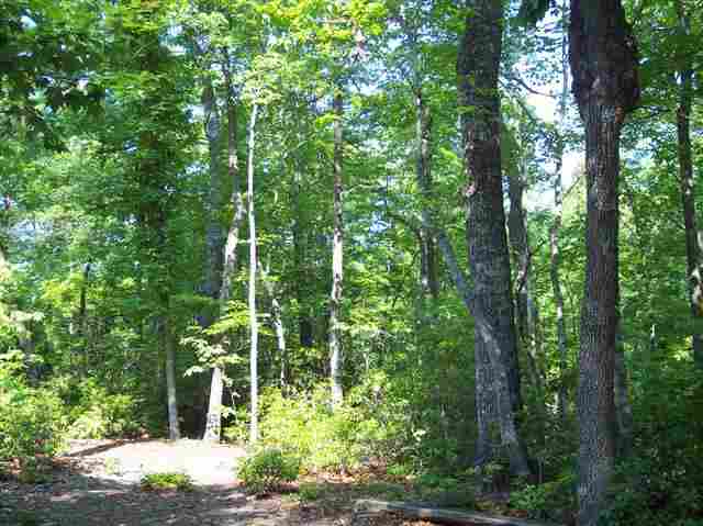 3 Forestry Road Pickens, SC 29671 - Photo 16 of 16