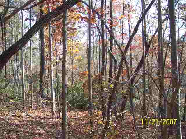 3 Forestry Road Pickens, SC 29671 - Photo 3 of 16
