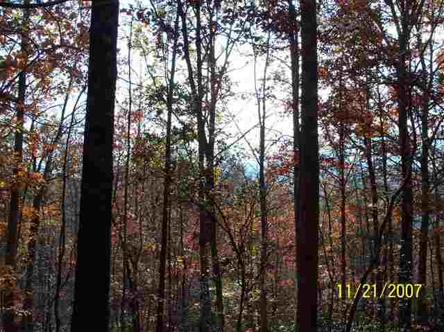 3 Forestry Road Pickens, SC 29671 - Photo 4 of 16