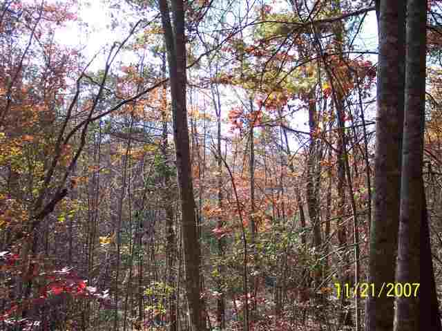 3 Forestry Road Pickens, SC 29671 - Photo 5 of 16
