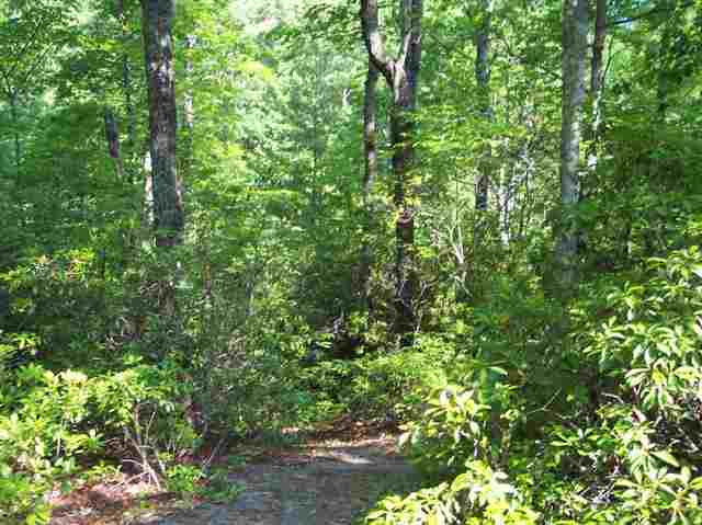 3 Forestry Road Pickens, SC 29671 - Photo 6 of 16