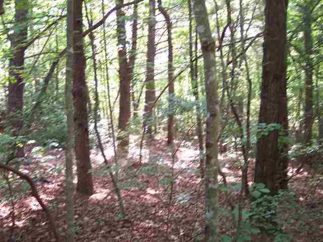 3 Forestry Road Pickens, SC 29671 - Photo 7 of 16