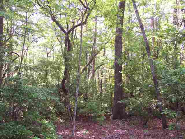 3 Forestry Road Pickens, SC 29671 - Photo 8 of 16