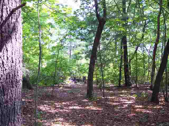 3 Forestry Road Pickens, SC 29671 - Photo 9 of 16