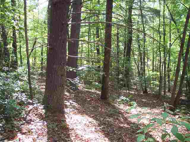 3 Forestry Road Pickens, SC 29671 - Photo 10 of 16