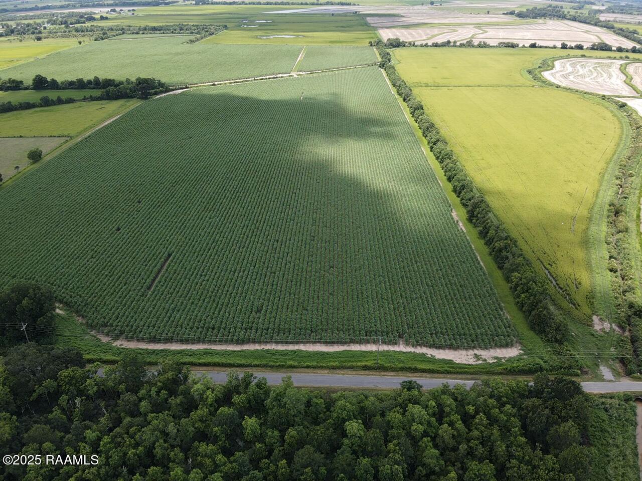 Dalton Road Kaplan, LA 70548 - Photo 1 of 4 2025-06-28-12-46-04-854