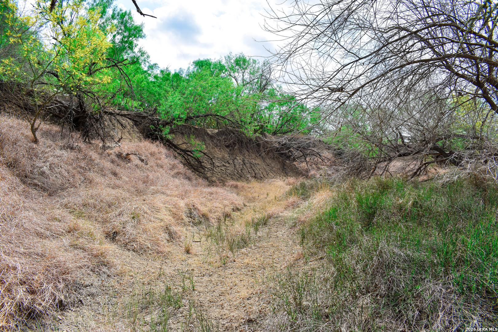 0 Koon Hill Road Fowlerton, TX 78021 - Photo 11 of 65