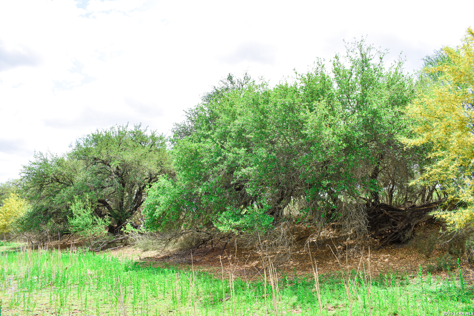 0 Koon Hill Road Fowlerton, TX 78021 - Photo 13 of 65