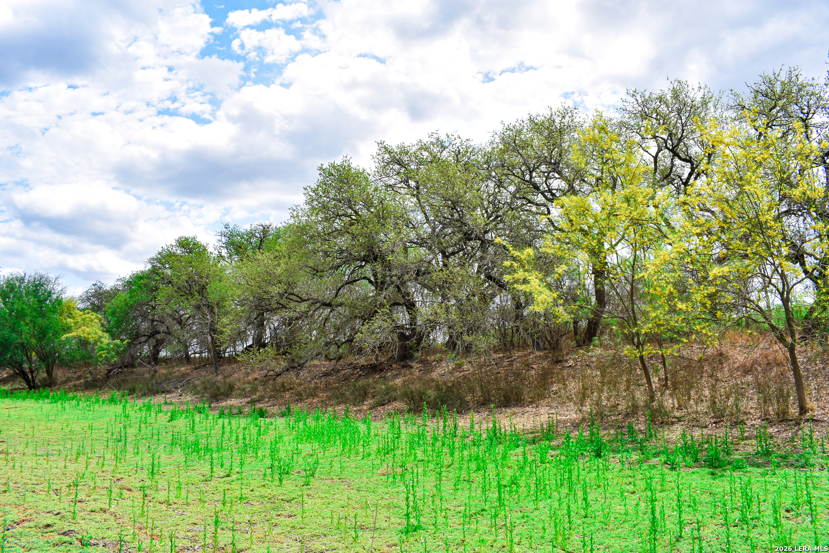 0 Koon Hill Road Fowlerton, TX 78021 - Photo 14 of 65