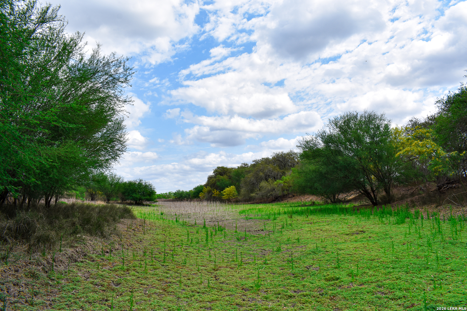 0 Koon Hill Road Fowlerton, TX 78021 - Photo 17 of 65