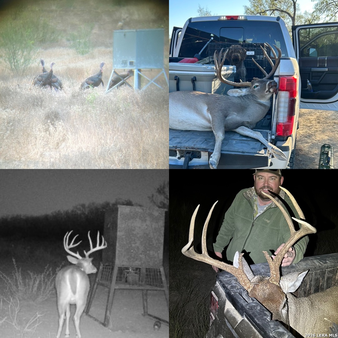 0 Koon Hill Road Fowlerton, TX 78021 - Photo 18 of 65