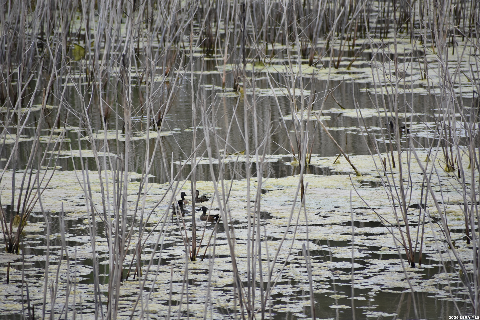 0 Koon Hill Road Fowlerton, TX 78021 - Photo 22 of 65