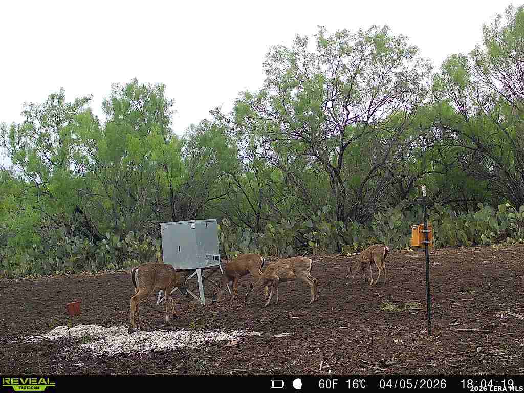0 Koon Hill Road Fowlerton, TX 78021 - Photo 23 of 65
