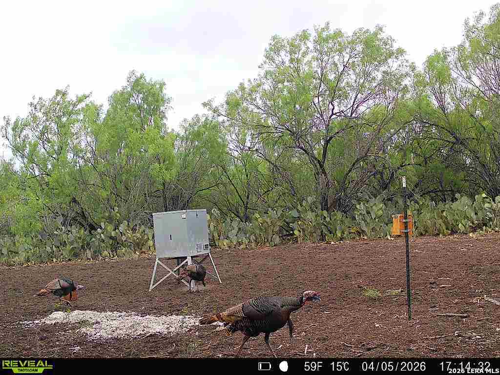 0 Koon Hill Road Fowlerton, TX 78021 - Photo 24 of 65