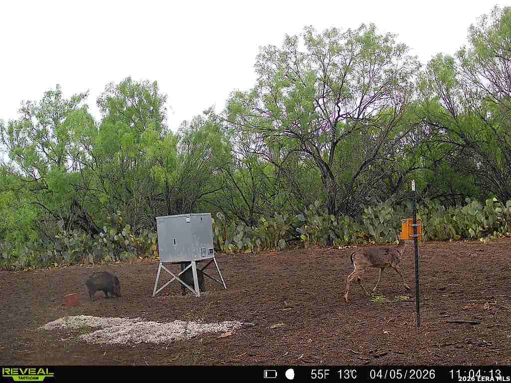 0 Koon Hill Road Fowlerton, TX 78021 - Photo 25 of 65
