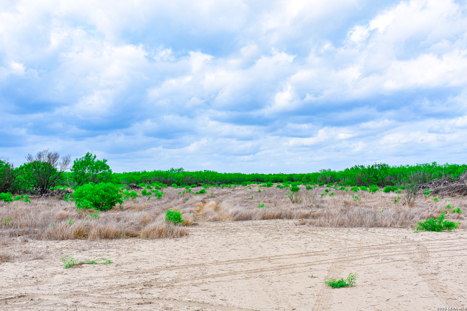 0 Koon Hill Road Fowlerton, TX 78021 - Photo 28 of 65
