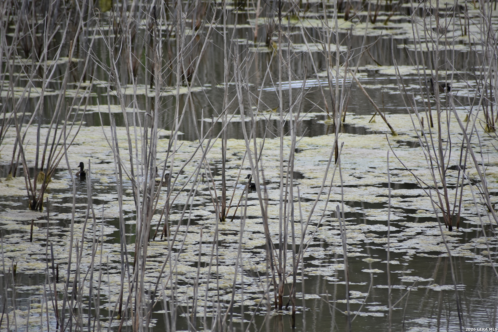 0 Koon Hill Road Fowlerton, TX 78021 - Photo 3 of 65