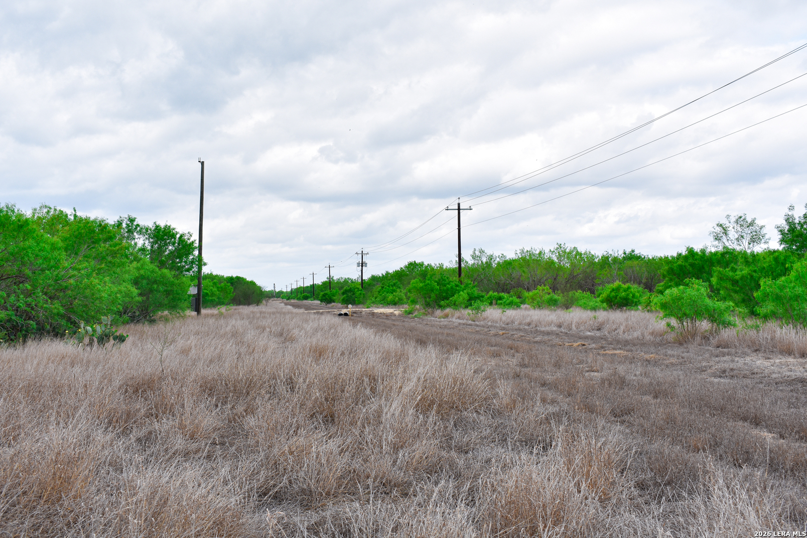 0 Koon Hill Road Fowlerton, TX 78021 - Photo 31 of 65