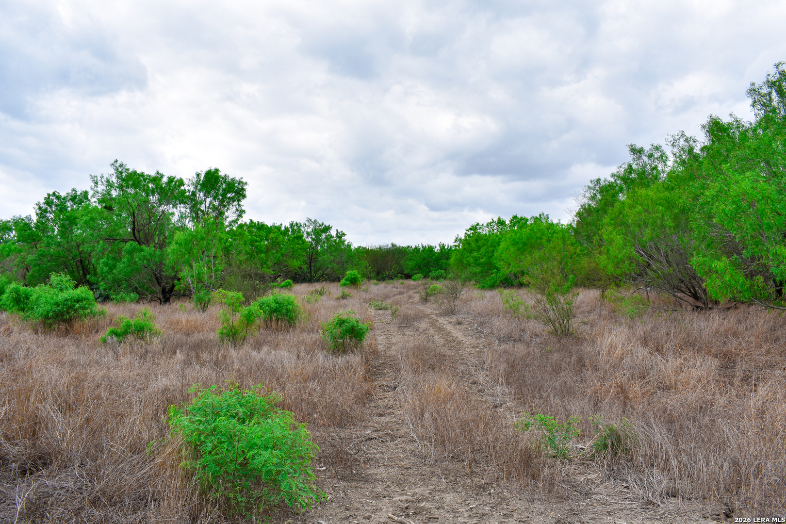 0 Koon Hill Road Fowlerton, TX 78021 - Photo 33 of 65